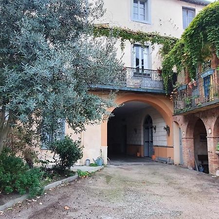 卡尔卡松Un Petit Coin De France : A Cote De La Cite Medievale公寓 外观 照片